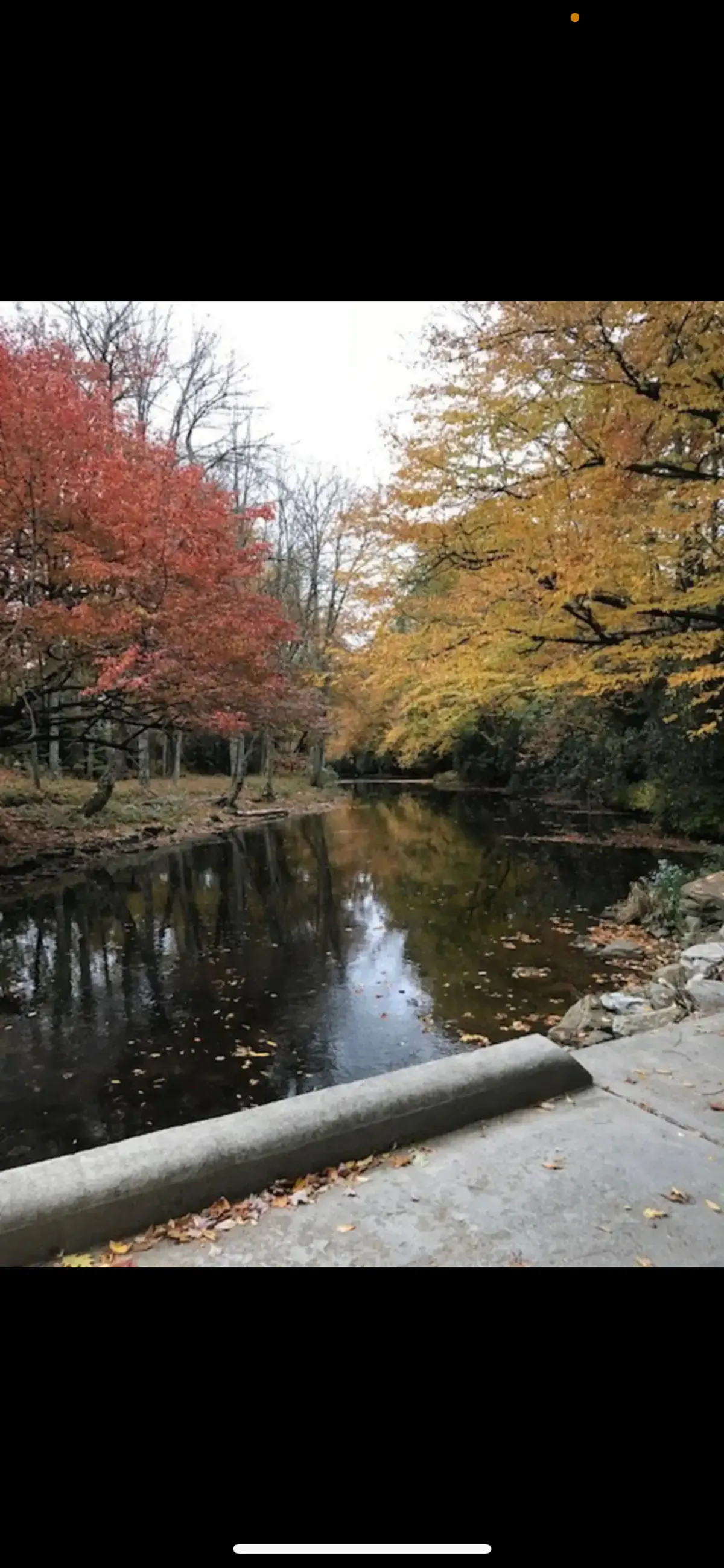 A tranquil lake bordered by a stone embankment, framed by vibrant autumn trees reflecting their colors on the calm water. The scene invites thoughts of walking, picnicking, and observing nature in a peaceful outdoor setting.